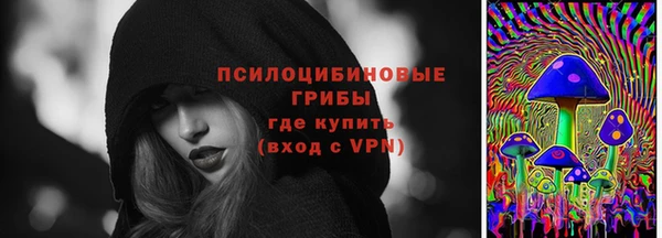 скорость Тобольск