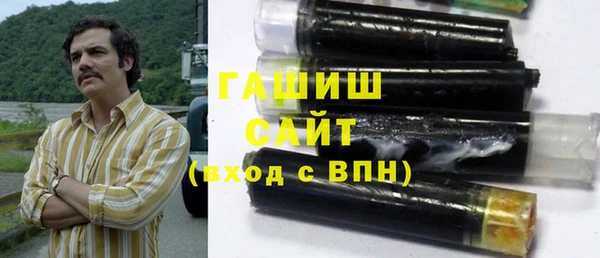 индика Новозыбков