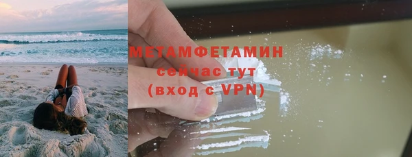 индика Новозыбков