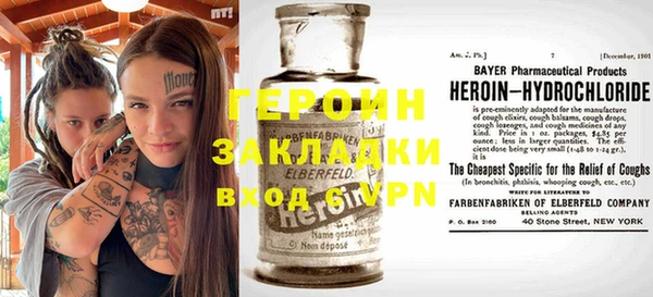 индика Новозыбков