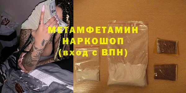 индика Новозыбков