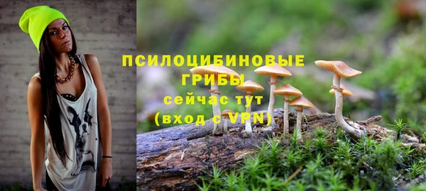 PSILOCYBIN Нея