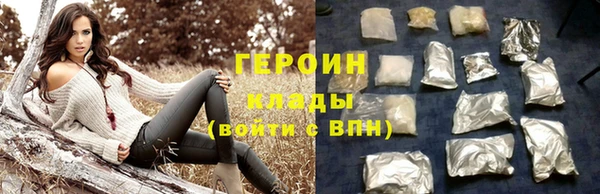 индика Новозыбков
