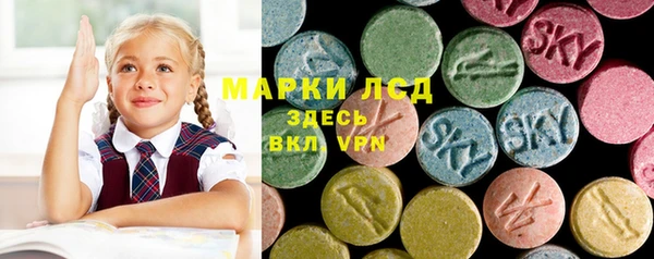 индика Новозыбков