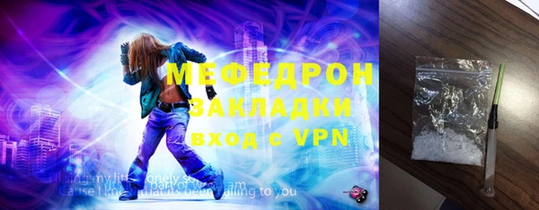 индика Новозыбков