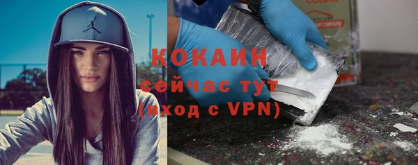 индика Новозыбков